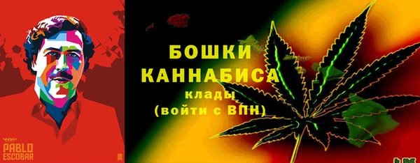 2c-b Горнозаводск