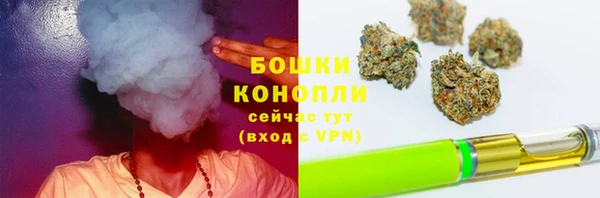 хмурый Горно-Алтайск