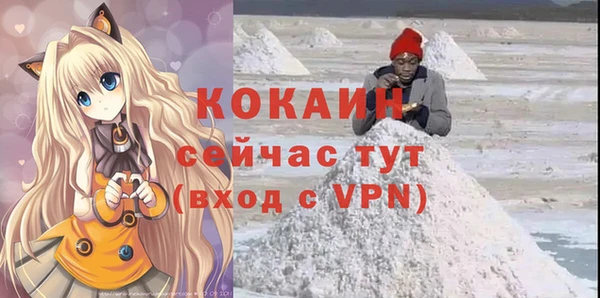 2c-b Горнозаводск