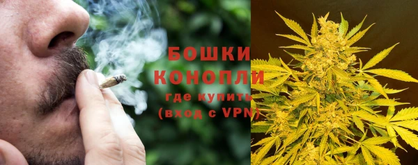 хмурый Горно-Алтайск
