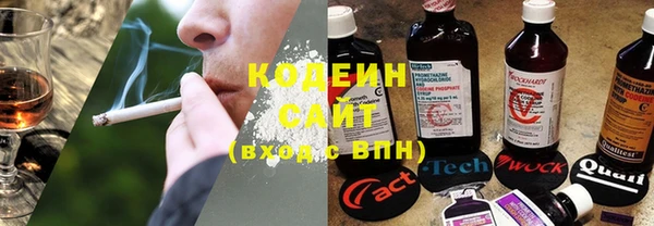 хмурый Горно-Алтайск